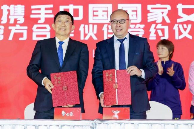国内精品久久久久久精品久久