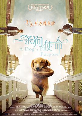 亚洲无吗视频