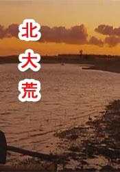 欧美一区二区激情三区