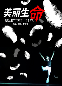 免费二区