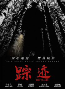 cctⅴ5+在线直播观看