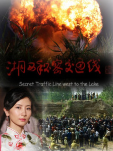 叶子楣一级淫爱片