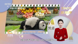 精品一区二区三区的国产在线播放